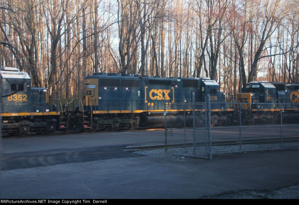 CSX 8319